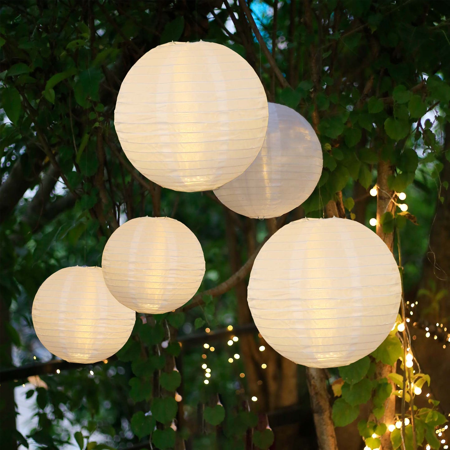 5er-Lampion-Set, warmweiß, 2x25/3x20cm