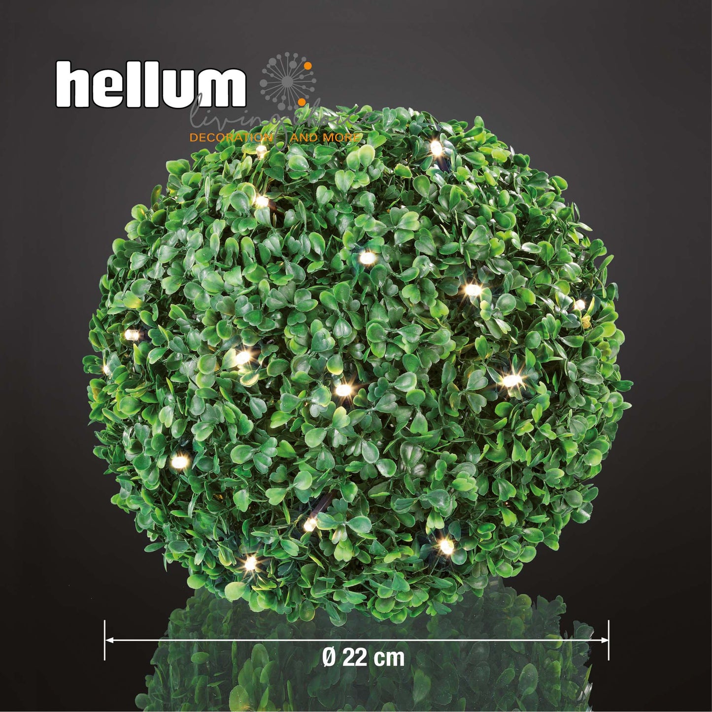 LED-Buchsbaum-Ball, 30 warmweiße LEDs, 22 cm Ø, IP 44 Außen-Transformator_578591