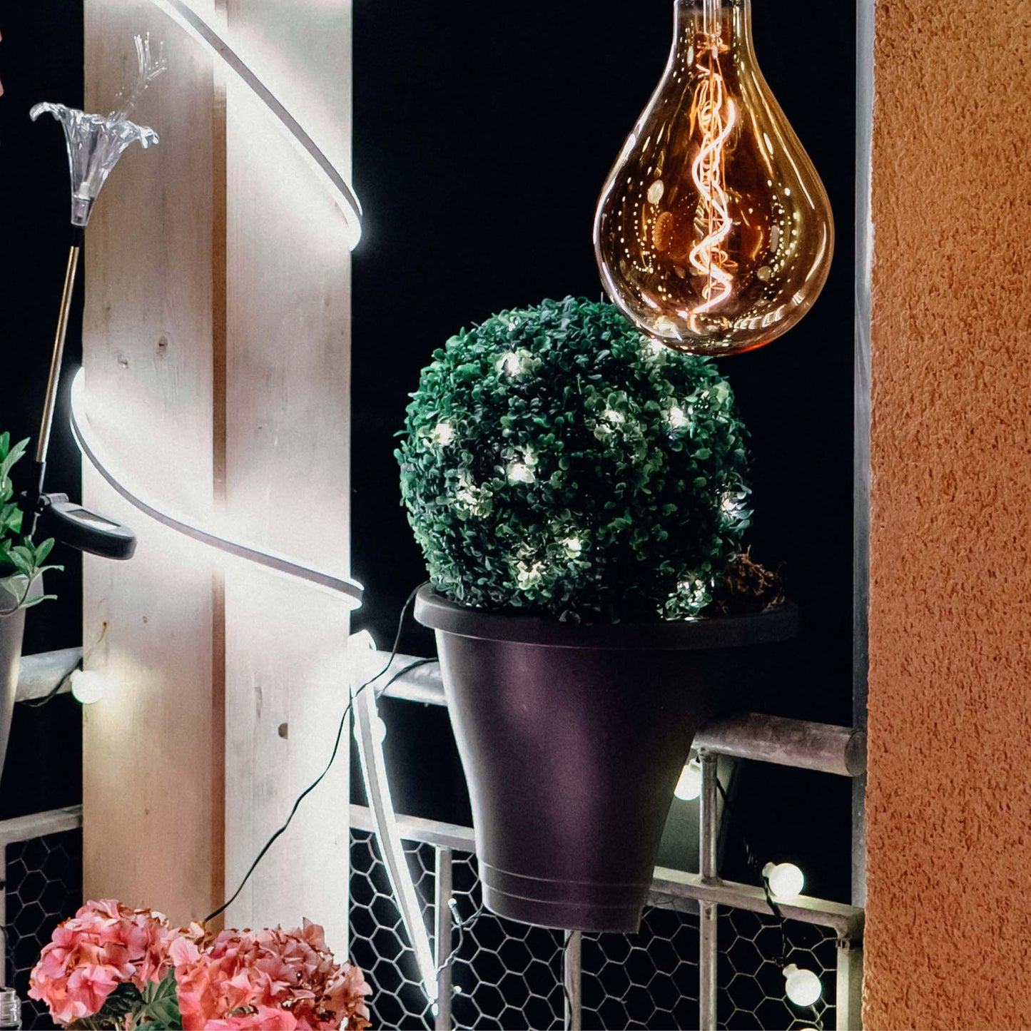 LED-Buchsbaum-Ball, 30 warmweiße LEDs, 22 cm Ø, IP 44 Außen-Transformator_578591