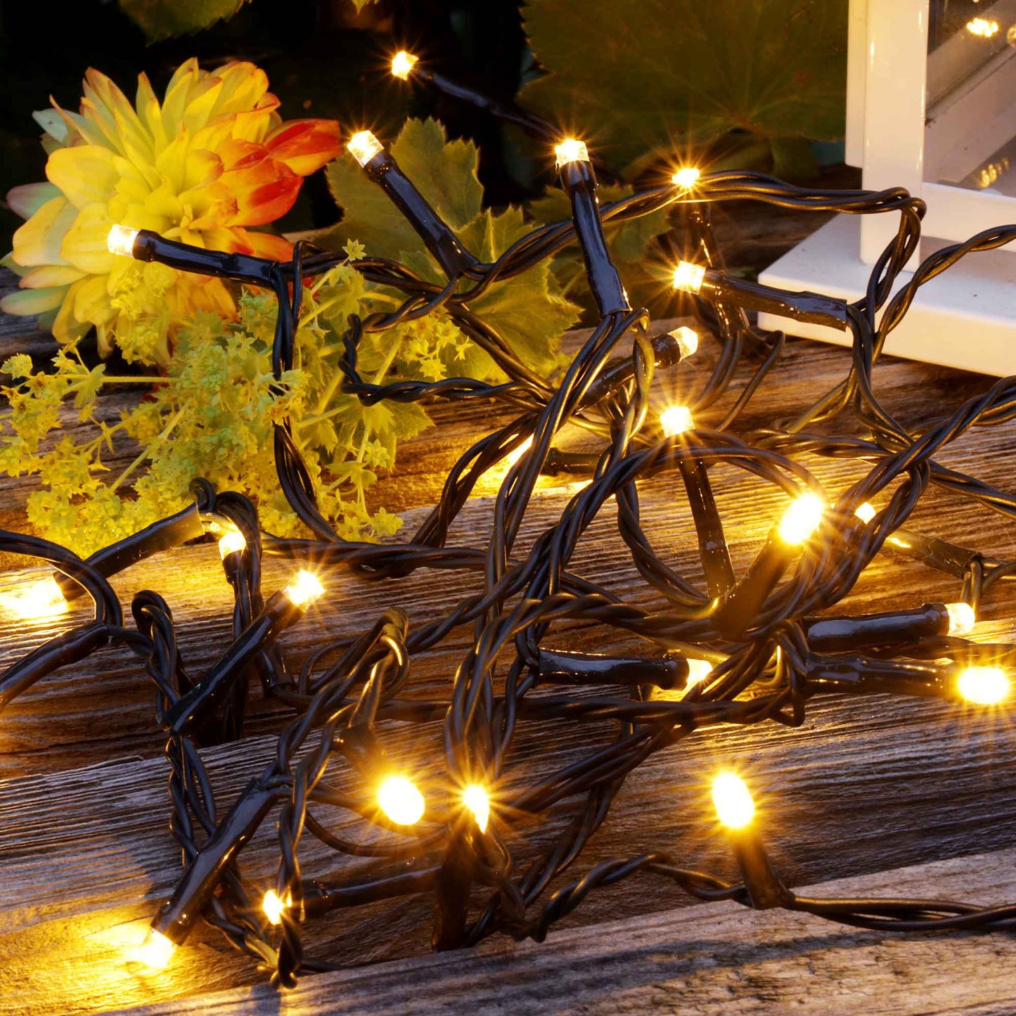 80-tlg. LED-Lichterkette, warm-weiße LEDs, Außen-Trafo