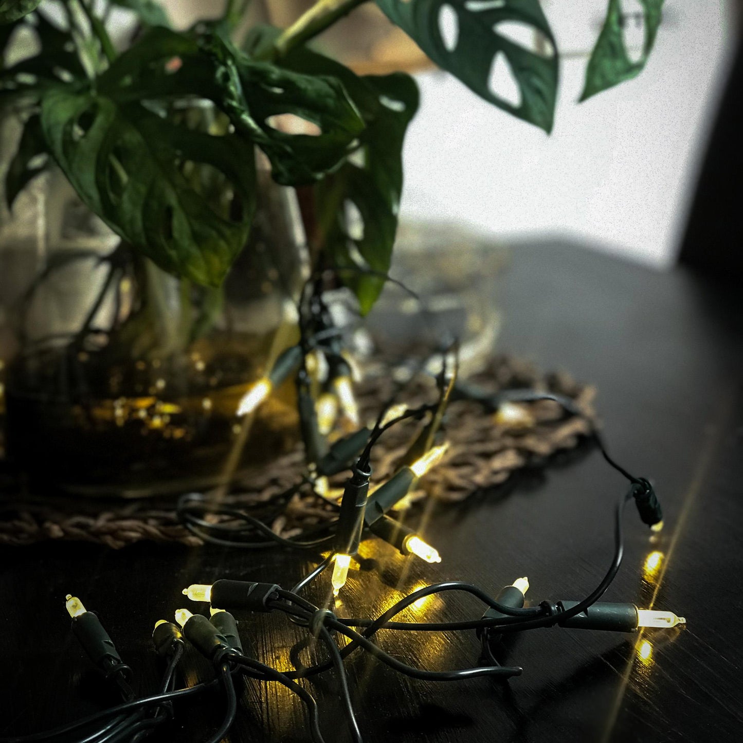 50-tlg. LED-Pisello-Minilichterkette, warm-weiße LEDs, innen, EU-Stecker