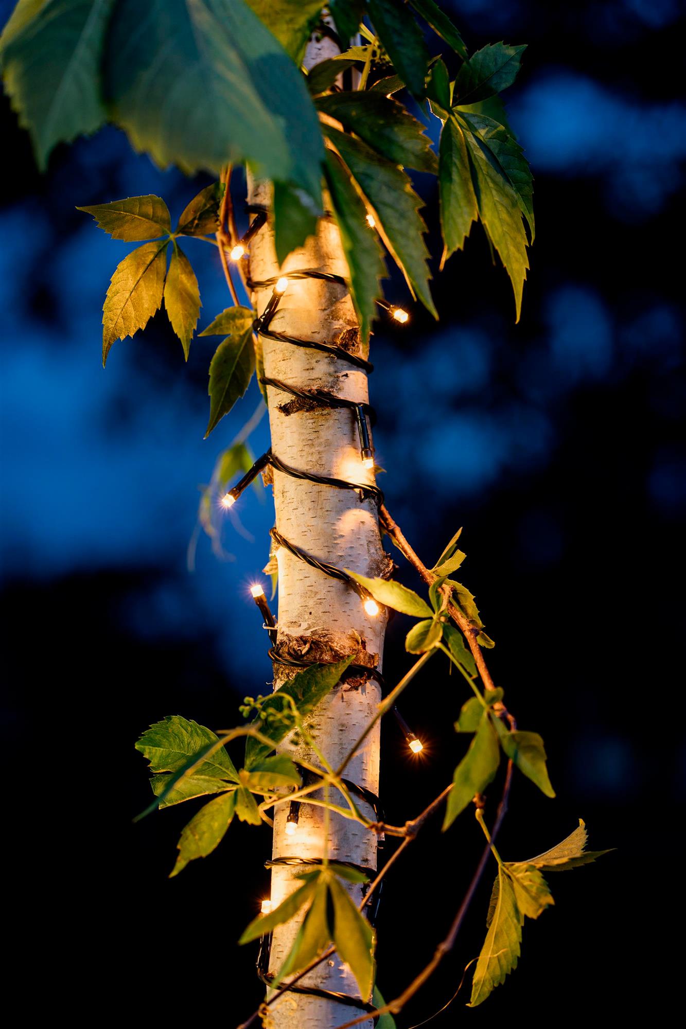 LED-Lichterkette, 120 LEDs ww, mit Timer/Sensor, batteriebetrieben