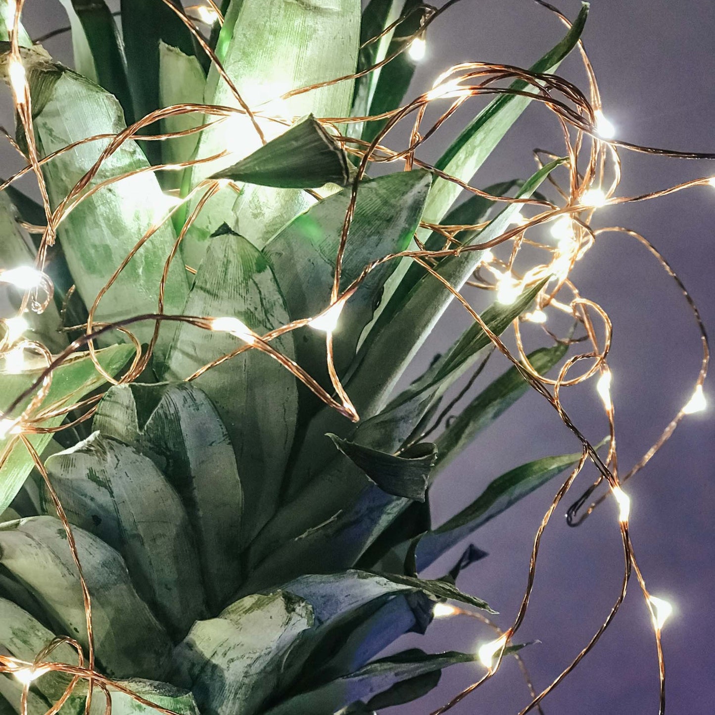 LED-Lichterkette,100 LEDs bernstein, Außen-Transformator