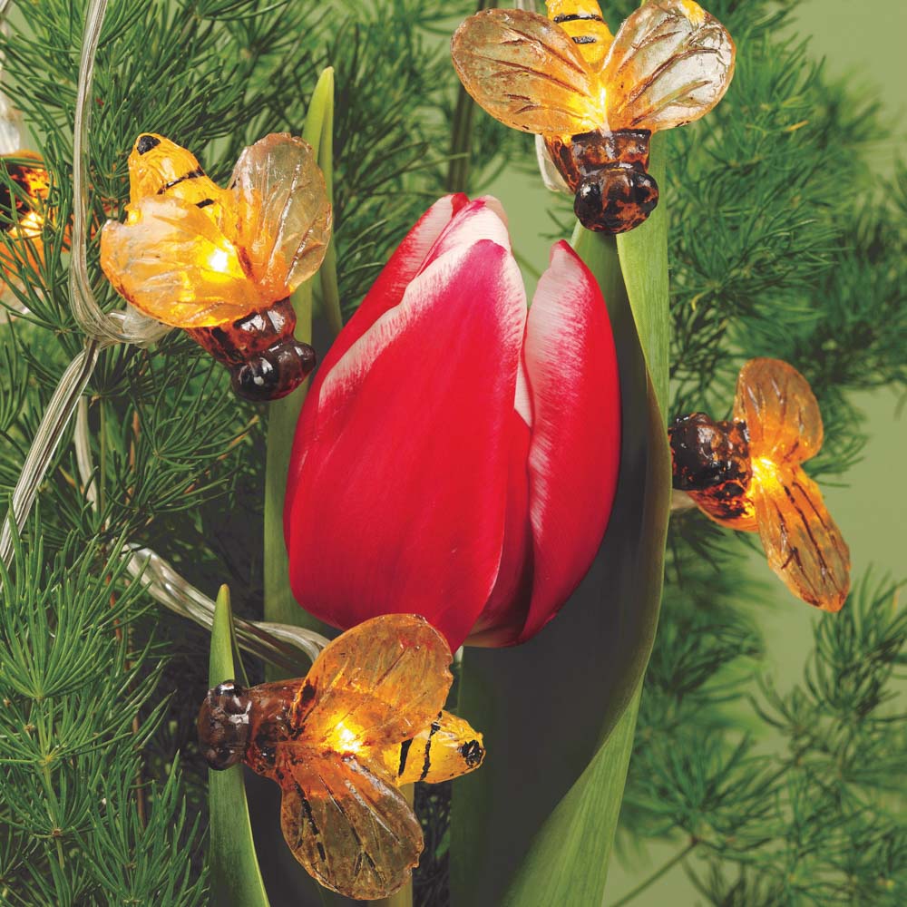 Hellum Solar Bienenlichterkette, 20 LEDs, beleuchtet 3,8m, für außen 350166