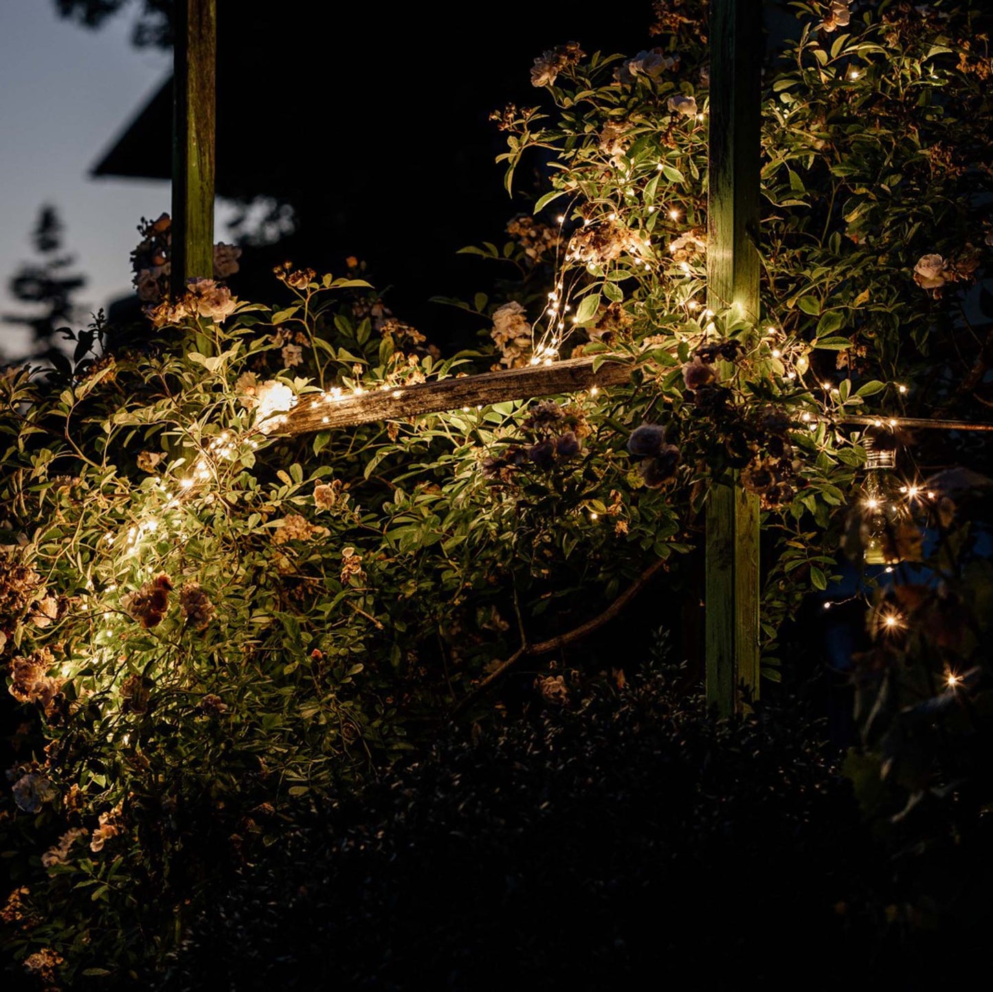 LED-Kupferkabel Girlande, 12 Stränge, 192 LEDs ww, optionaler Timer, Außen-Transformator