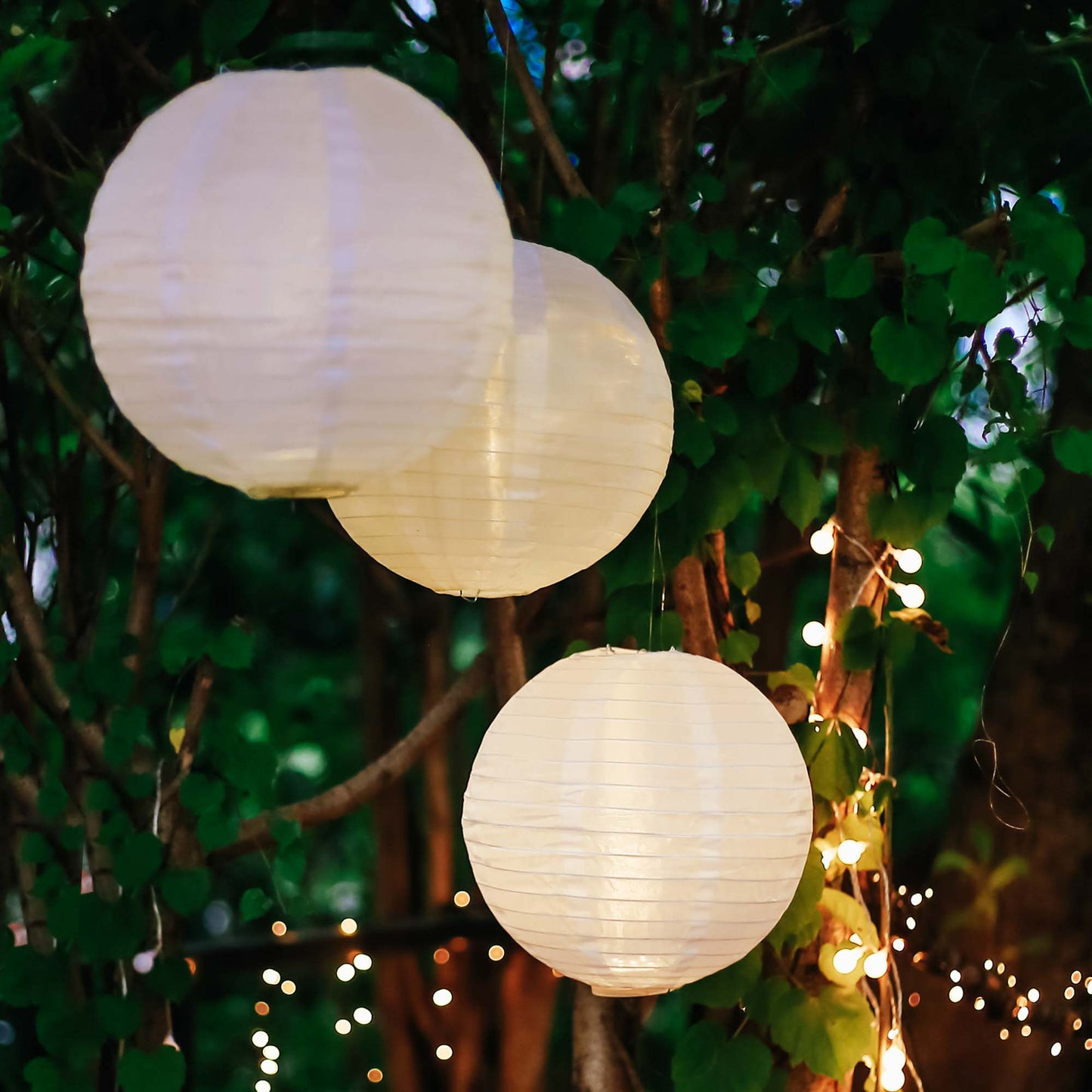 3 Stück/Set, Hellum LED-Lampion weiß, warm-weiße LED, dimmbar, mit Fernbedienung, batteriebetrieben