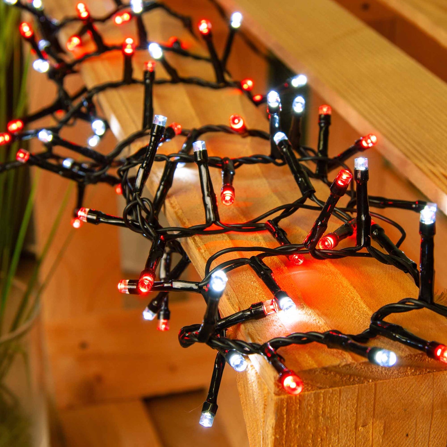 Hellum LED Cluster Lichterkette, 100 LEDs, rot und kaltweiß, beleuchtet 1,98m, mit Timer 577518