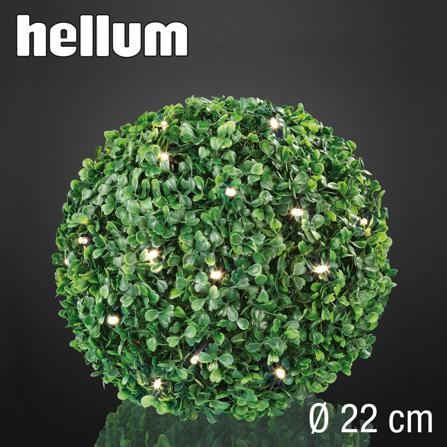 LED-Buxbaum-Ball, 30 warm-weiße LEDs, 22 cm Ø, IP 44 Außen-Transformator