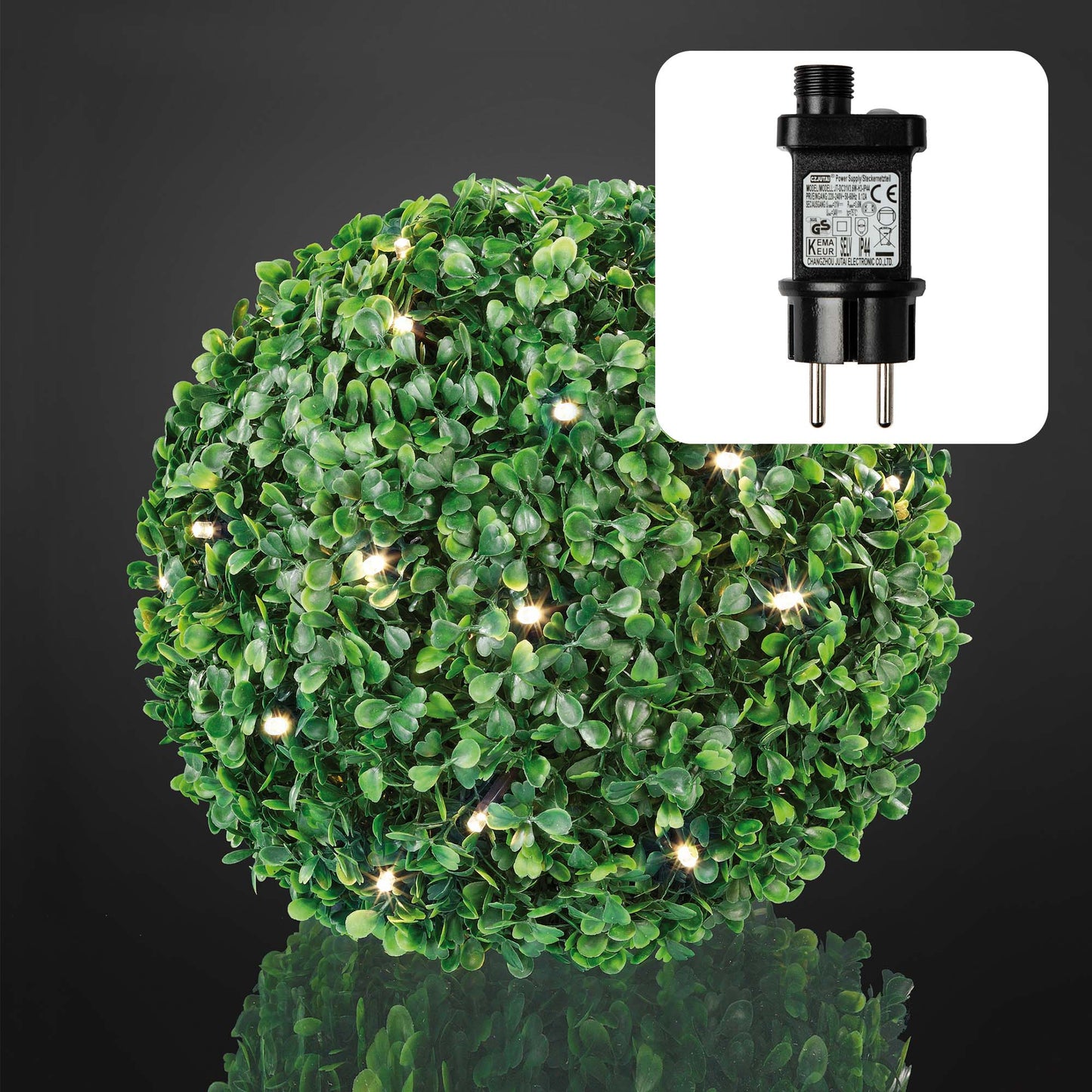 LED-Buchsbaum-Ball, 30 warmweiße LEDs, 22 cm Ø, IP 44 Außen-Transformator_578591