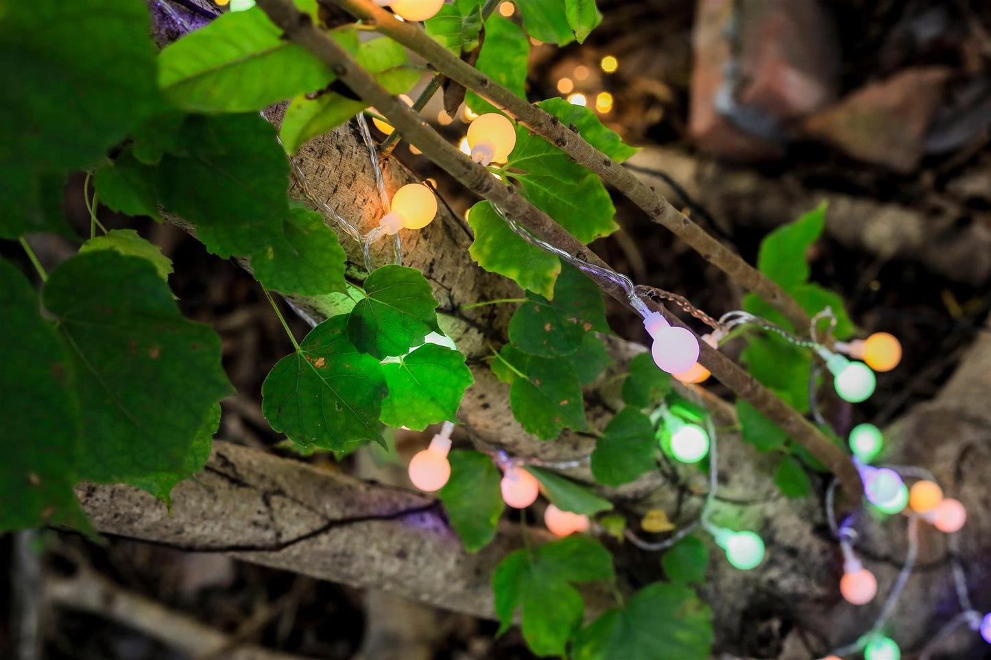 LED-Lichterkette mit Kugeln, 100 LEDs bunt, mit Außen-Transformator